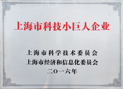 上海市科技小巨人企业 引领科技创新的先锋力量